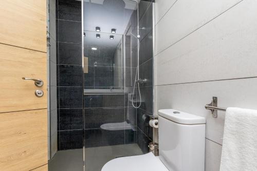 Un baño con inodoro y ducha de cristal. en BaruHaus duplex piscina y parking, en Villamañán