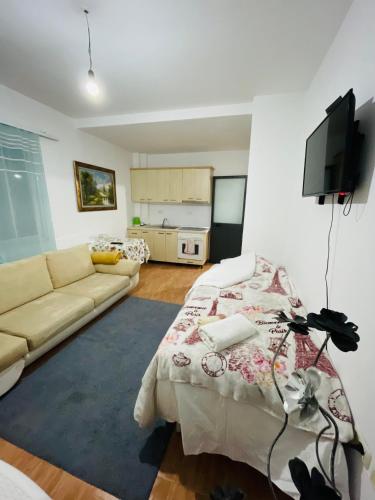 TV a/nebo společenská místnost v ubytování Relax Apartment