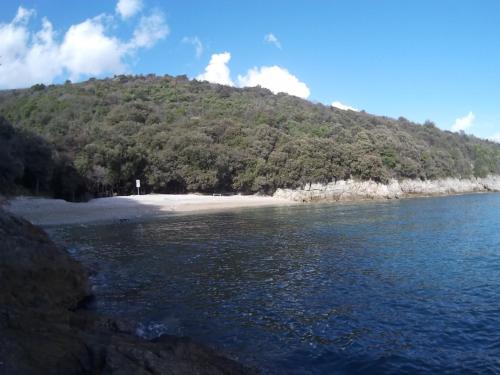 an island in the ocean with a sandy beach at Apartments Plavčić in Plomin