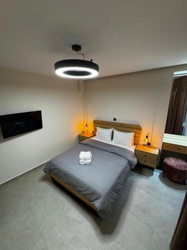 Sofia's central house