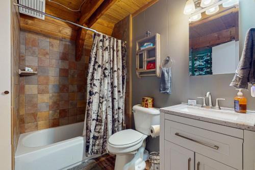 a bathroom with a toilet and a sink and a shower at The Hideaway in Ronald