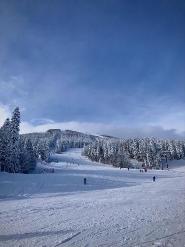 a group of people skiing down a snow covered slope at Apartman - Sobe Tiha Luka, Bjelašnica in Bjelašnica