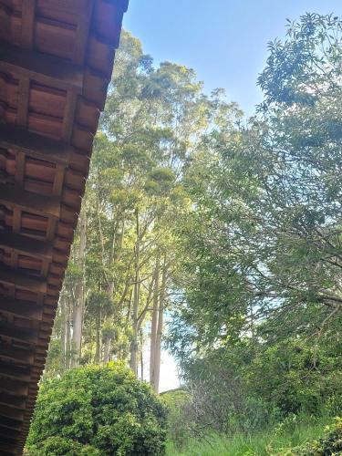 a view of trees from under a roof at Chalezão Aldeia da Serra in Santana de Parnaíba