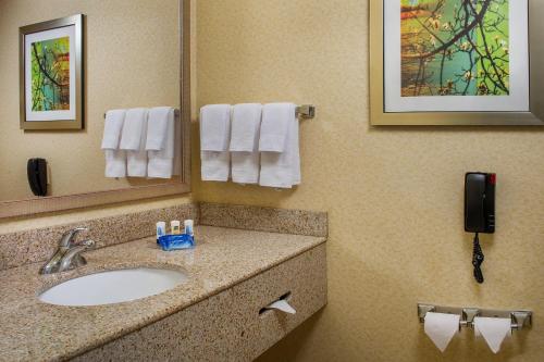 Ένα μπάνιο στο Fairfield Inn and Suites Wilson