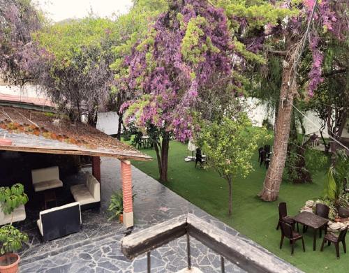 Κήπος έξω από το Berlin Party Hostel & Suites