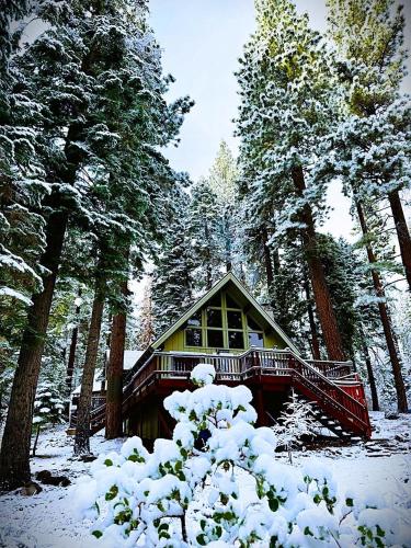 a cabin in the woods in the snow at Honey Bear Cabin in Carnelian Bay