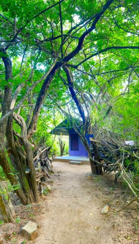 a small blue house in the middle of a forest at Yala Podi Hoona Bush Camp in Yala