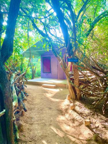 a dirt road leading to a building with trees at Yala Podi Hoona Bush Camp in Yala