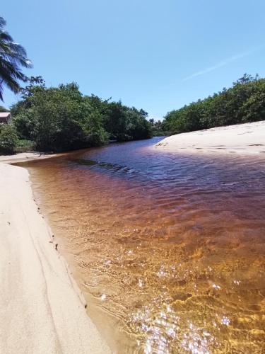 a view of a beach with sand and trees at Pousada Paraíso Beach in Santa Cruz Cabrália