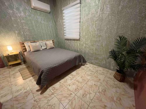 a bedroom with a bed and a potted plant at Salo-casa Verde 4 Bdrm House By Stay Here Pr in San Juan