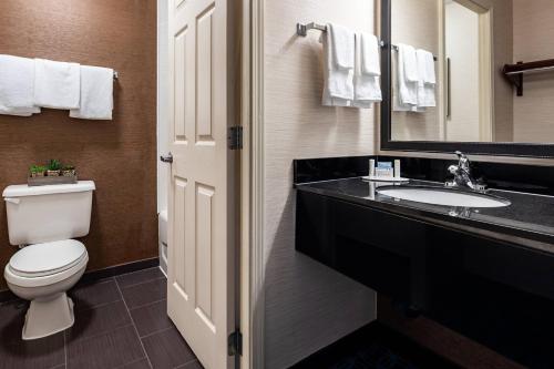 a bathroom with a toilet and a sink and a mirror at Fairfield Inn Charlotte Northlake in Charlotte