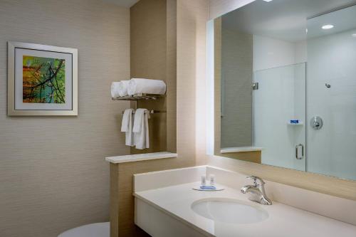 Koupelna v ubytování Fairfield Inn & Suites by Marriott Dallas West/I-30