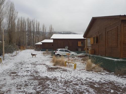 a dog walking down a snow covered road next to a house at Terrazas de Uspallata in Uspallata