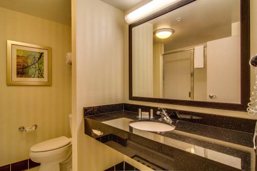 a bathroom with a sink and a toilet and a mirror at Fairfield Inn & Suites Palm Coast I-95 in Palm Coast