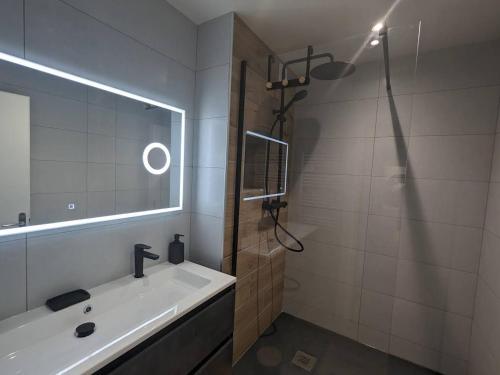 a bathroom with a sink and a mirror and a shower at Appartement confortable à Épinal, 2 chambres, wifi, parking, petit chien accepté - FR-1-589-766 in Épinal