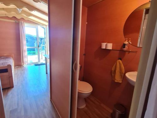 a bathroom with a toilet and a sink and a mirror at Roulotte bohème confortable à la ferme pédagogique près de Nancy - FR-1-584-365 in Burthecourt-aux-Chênes