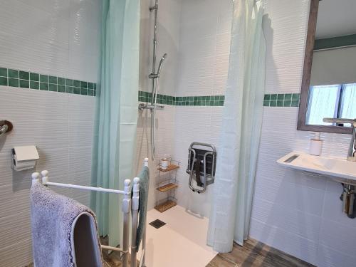 a bathroom with a shower and a sink at Grand Gîte à Briare - Animaux et Parking Privé - FR-1-590-541 in Briare