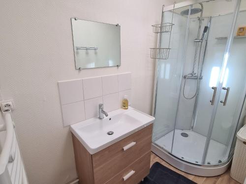 a bathroom with a sink and a shower at Studio cosy proche d'Orléans avec parking et animaux sur place - FR-1-590-558 in Bucy-Saint-Liphard