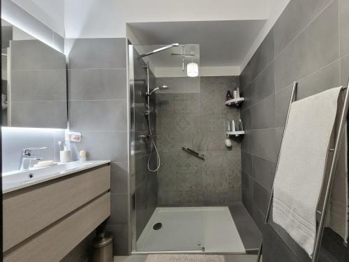 a bathroom with a shower and a sink at T3 moderne avec clim et wifi, proche port et mer, box fermé - FR-1-794-157 in Canet-en-Roussillon