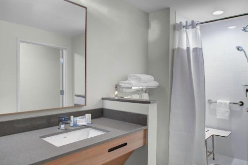 a bathroom with a sink and a mirror at Fairfield Inn & Suites by Marriott Roanoke Salem in Salem