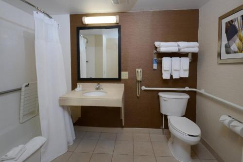 Fairfield Inn & Suites Roanoke Hollins/I-81にあるバスルーム