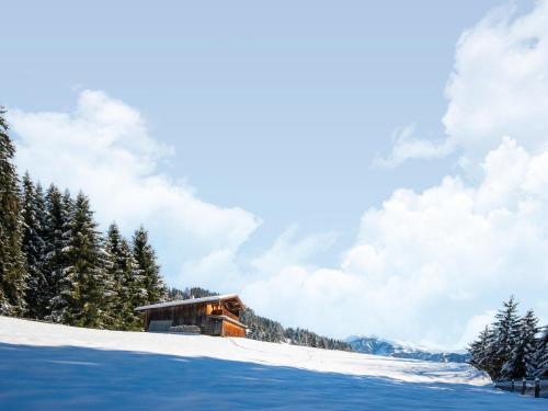a cabin on a snow covered slope with trees at Chalet Nase at 1700m in the Zillertal in Grün