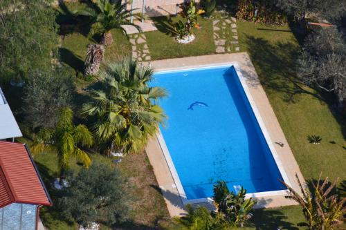 an overhead view of a swimming pool with palm trees at Villa Adriana B&B in Comiso