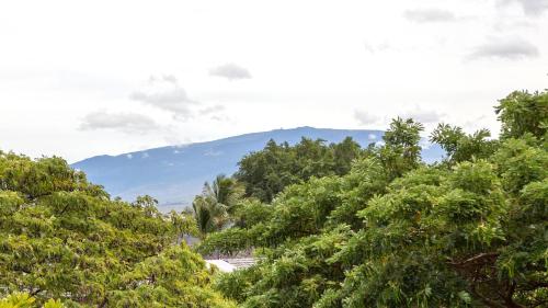 a group of trees with a mountain in the background at Villages At Mauna Lani 621 in Waikoloa