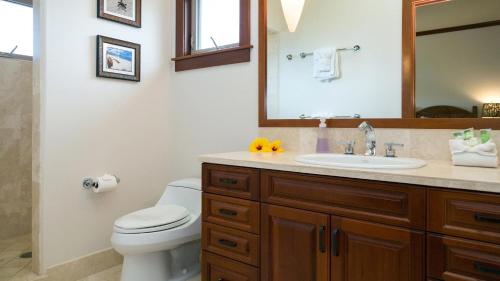 a bathroom with a toilet and a sink and a mirror at Villages At Mauna Lani 621 in Waikoloa