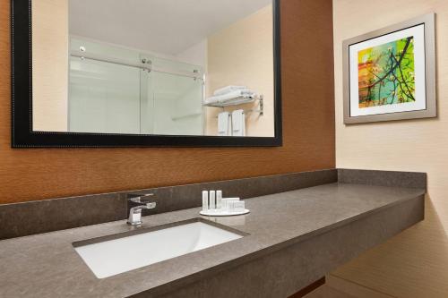 a bathroom with a sink and a large mirror at Fairfield Inn Roseville in Roseville