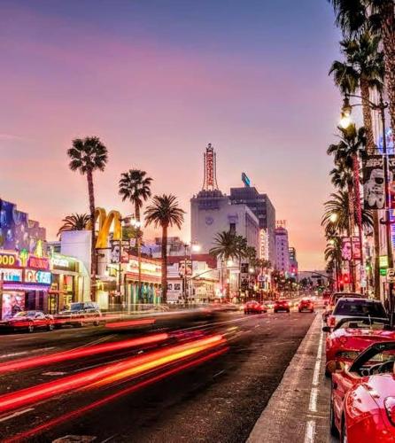 a city street with cars and palm trees and buildings at Homes for Soul Los Angeles in Los Angeles