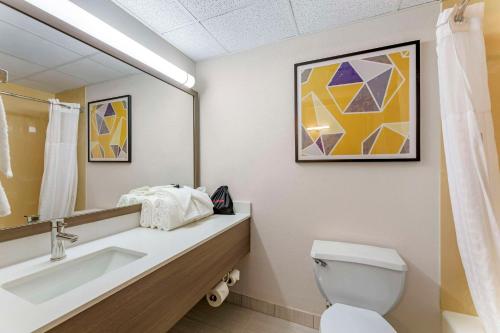 Koupelna v ubytování Comfort Inn & Suites Cuyahoga Falls - Akron
