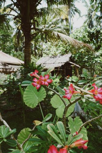 a garden with red flowers and a house in the background at Cocochill Surfhouse in Biha