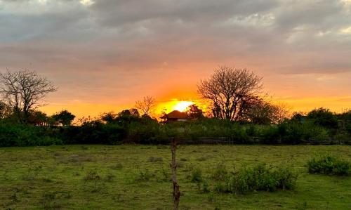 a sunset in a field with the sun setting in the background at OUTSIDE bungalow in Sekongkang