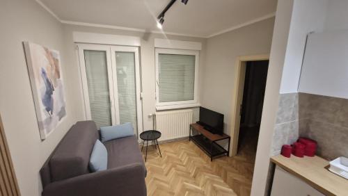 a living room with a couch and a television at King apartment in Novi Sad
