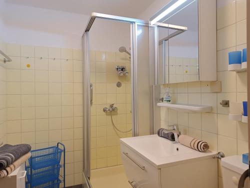 a bathroom with a shower and a sink at 2-Raum FeWo Lichtnelke - Hallenbad & Sauna in Fischen