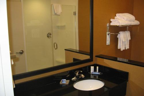 a bathroom with a sink and a mirror and a shower at Fairfield Inn & Suites by Marriott Elmira Corning in Horseheads