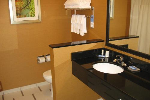 a bathroom with a sink and a toilet at Fairfield Inn & Suites by Marriott Elmira Corning in Horseheads