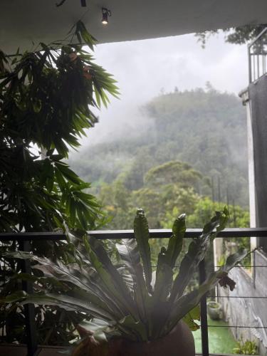 Paisaje cerca de este hostal o pensión