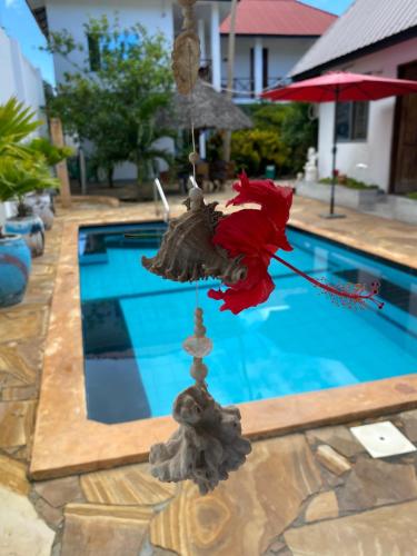 Πισίνα στο ή κοντά στο pole inn villa