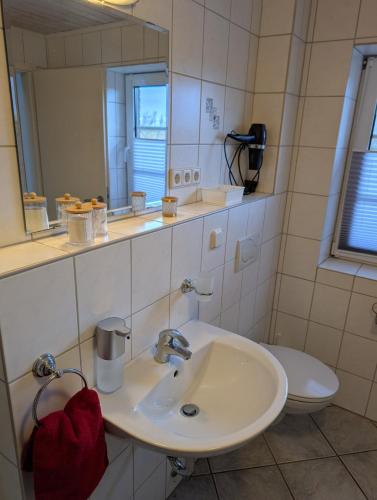 a bathroom with a sink and a toilet and a mirror at Hygge am See in Aventoft