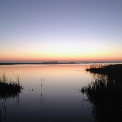 a view of a lake at sunset with birds in the water at Hygge am See in Aventoft