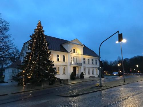 a christmas tree in front of a white building at Hotel Prinzenpalais Bad Doberan in Bad Doberan