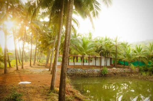 una casa en medio de una jungla con palmeras en India Yoga Village, en Canacona