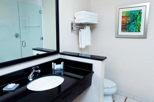 a bathroom with a sink and a mirror and a toilet at Fairfield Inn & Suites by Marriott Omaha Papillion in Papillion