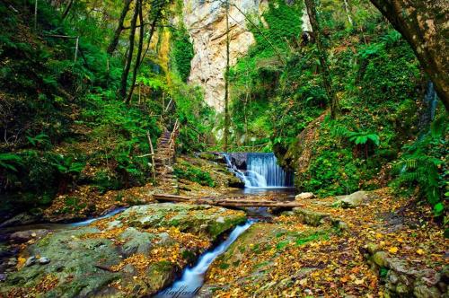 a waterfall in the middle of a forest at B&B Oliva in Scala