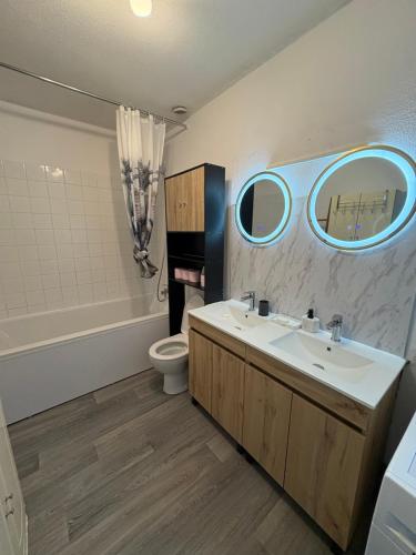 une salle de bain avec un lavabo, des toilettes et un miroir dans l'établissement Superbe chambre confortable proche de Vichy et du PAL, à Saint-Rémy-en-Rollat