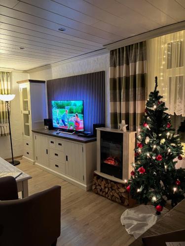 a living room with a christmas tree and a television at Macke`s Ferienwohnungen in Hahnenklee-Bockswiese