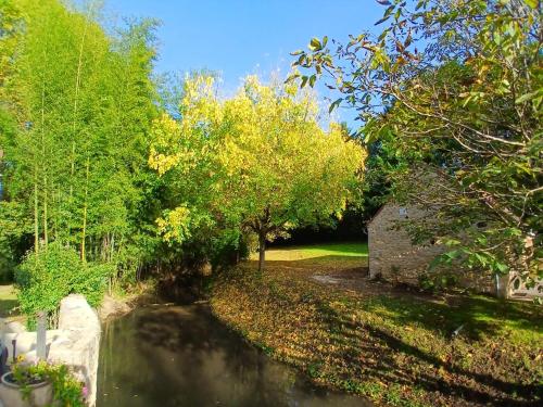 a garden with a pond and trees and a building at Gîte du Moulin de Maître Pierre in Payrignac