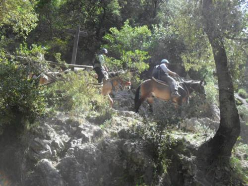 two people riding horses down a rocky hill at B&B Oliva in Scala